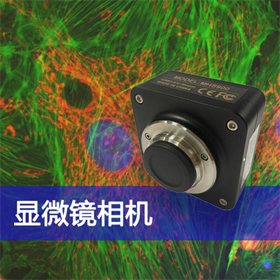 成像出色，高限度還原色彩真實(shí)性——廣州明慧顯微鏡相機(jī)